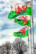 Wales Wales Wales
