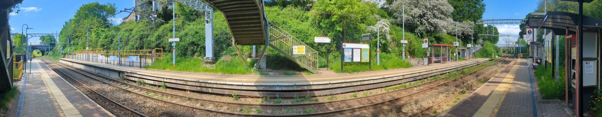 The Vincent Conglomeration